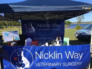 Stand at 4 Paws Walk 2016
