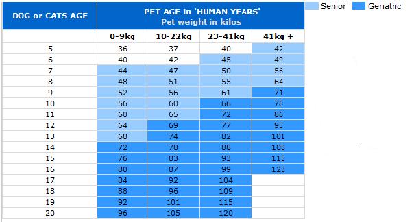 Cat Years Human Years Converter Chart