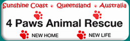 4 Paws Animal Rescue Sunshine Coast