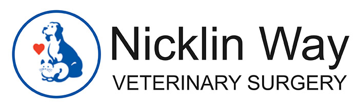 Nicklin Way Veterinary Surgery