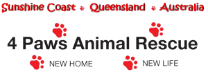 4 Paws Animal Rescue Logo