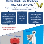Winter Weight Loss Challenge
