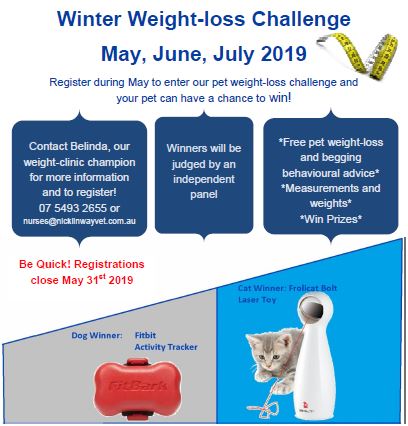 Winter Weight Loss Challenge