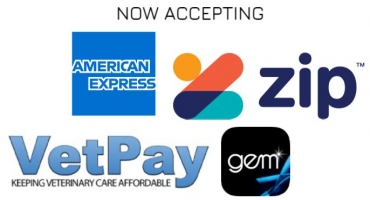 New Payment Options