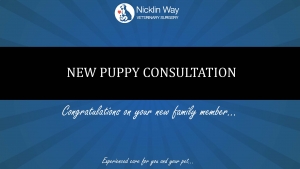 NWVS-First puppy visit-Presentation