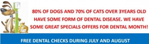 Free Dental Checks during July and August