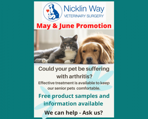 May June 2021 arthritis promotion