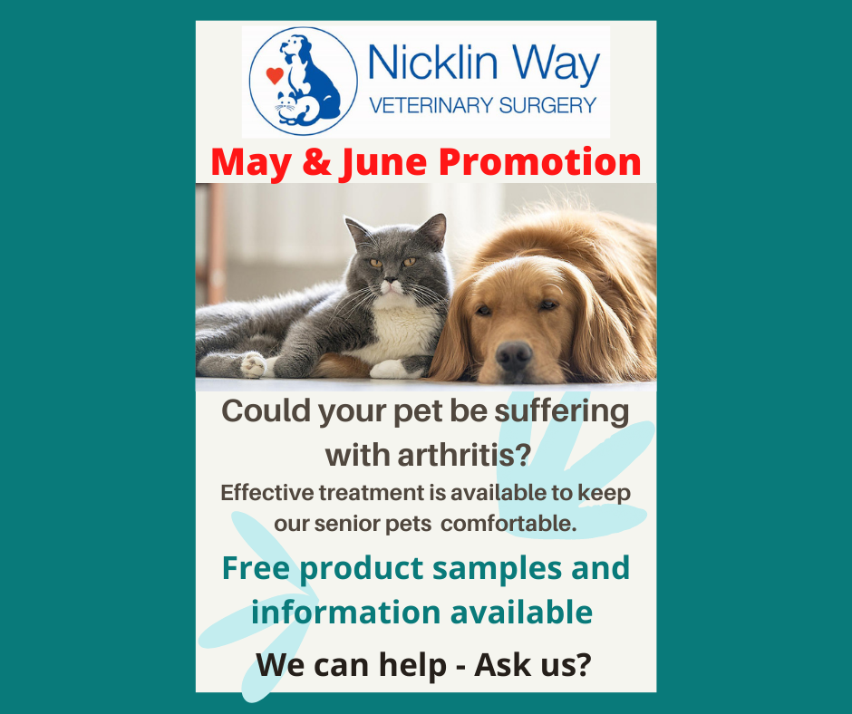 May June 2021 arthritis promotion