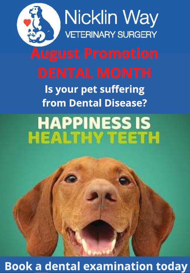 August 2021 Dental Month