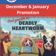 December & January Promotion Poster