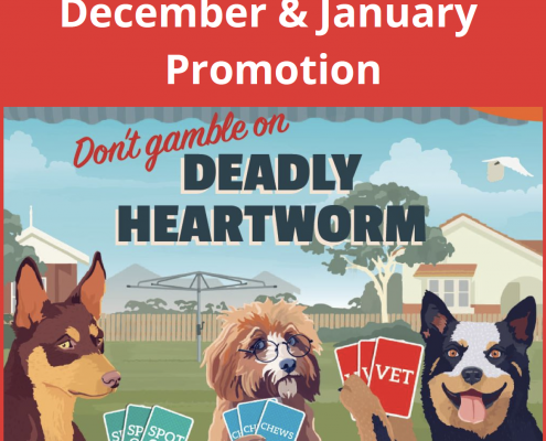 December & January Promotion Poster