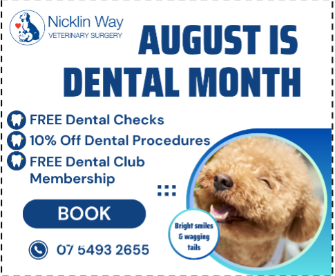 August Dental Month