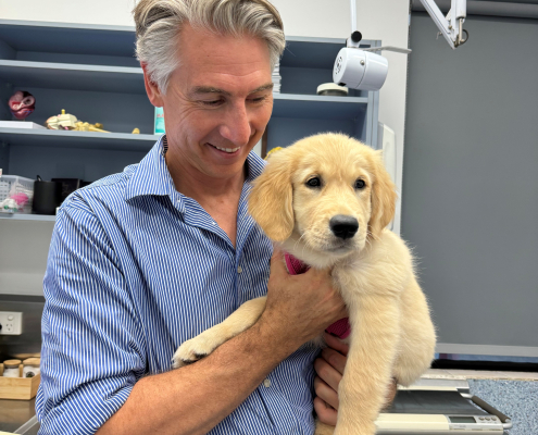 Dr Doug with Honey, the therapy dog for endED
