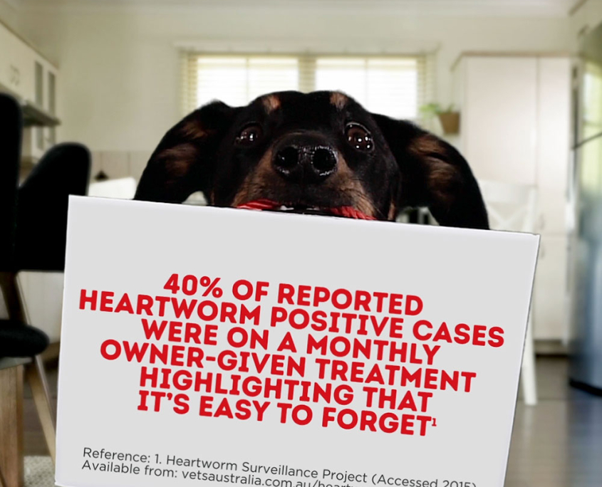 Heartworm promotion image